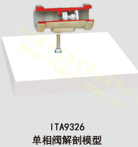 单向阀解剖模型