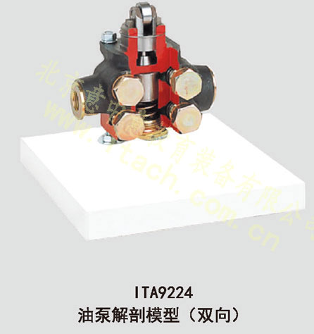 双向动作柴油供油泵解剖模型