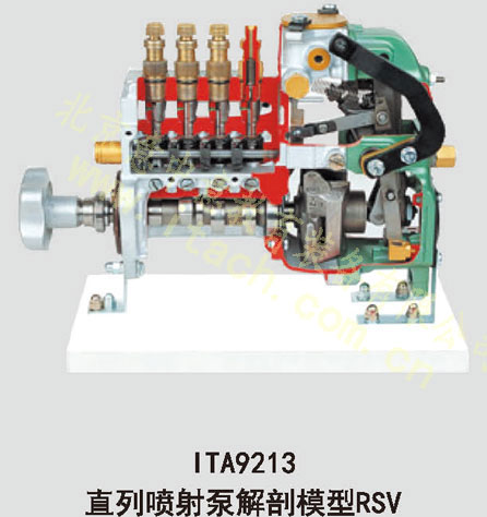 直列喷射泵解剖模型（RSV）