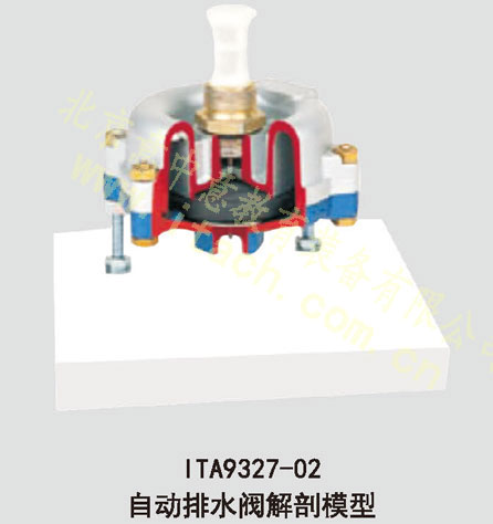 自动排水阀解剖模型