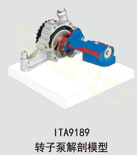 转子供油泵解剖模型